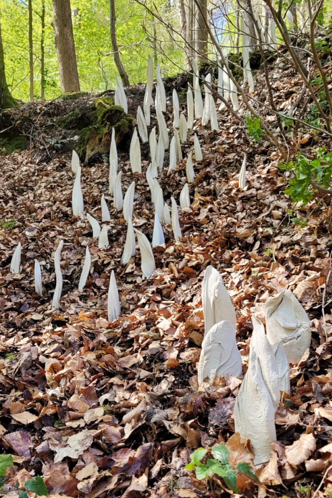 Barbara neumann besucher